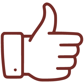 overview icon